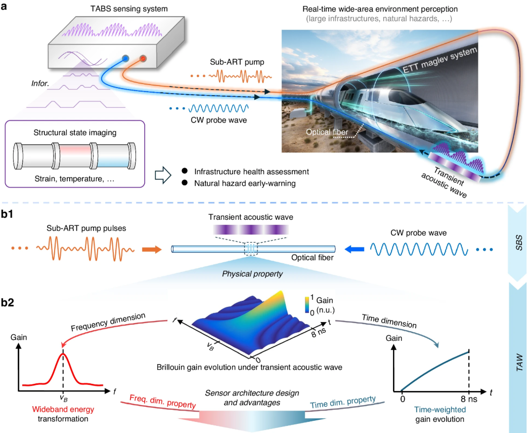 Brillouin Sensing